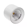 CEL ZOSMA 3 ROUND MEAT 27W 230V 40DEG WHITE